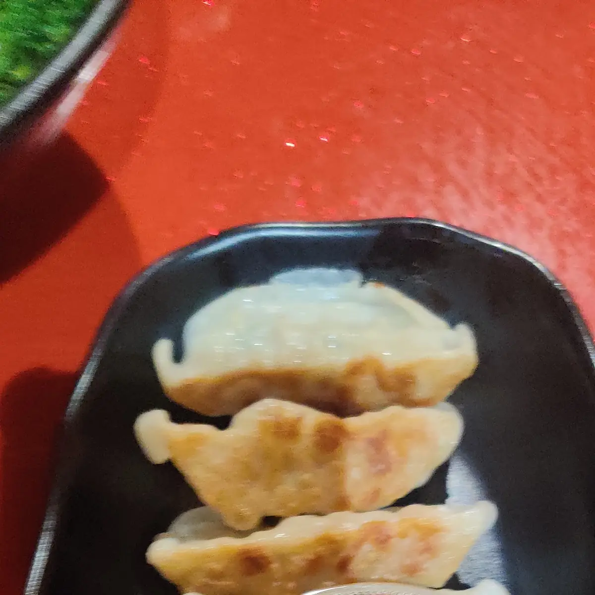 Gyoza 6 饺子